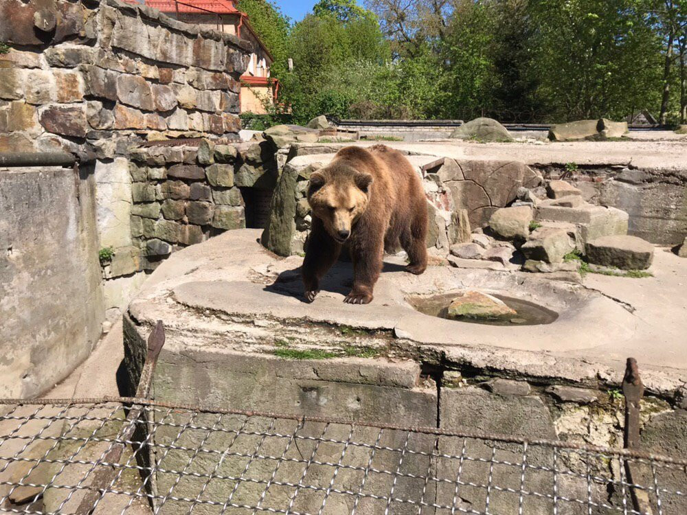 Kaliningrad Zoo景点图片