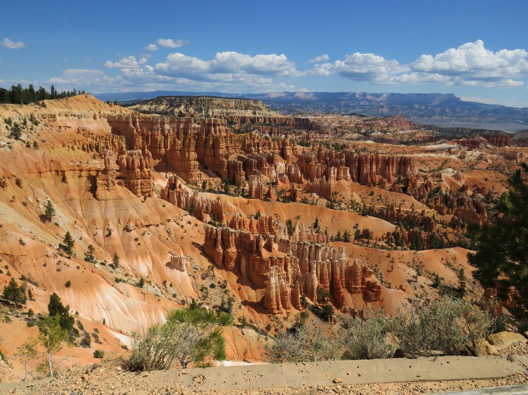 Bryce Amphitheatre景点图片