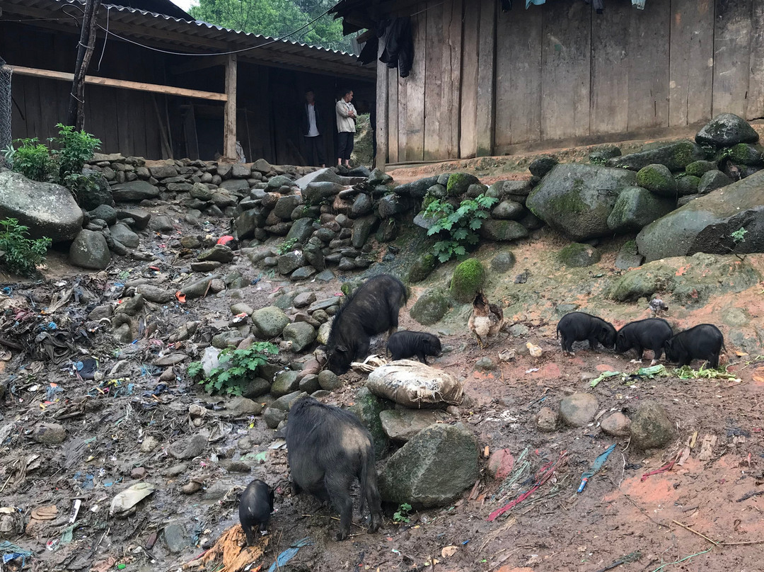 Sapa Private Day Tours-沙巴必去景点