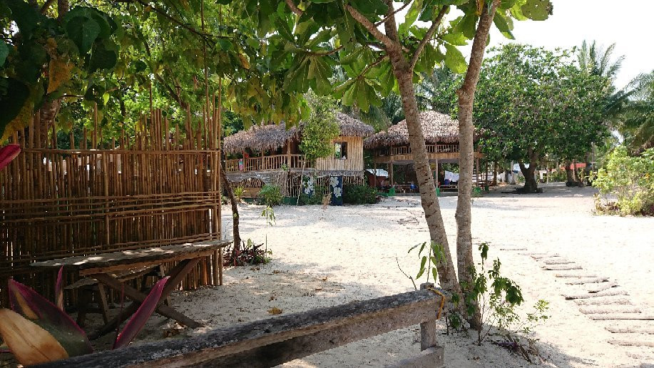 Paradiso Amadeo