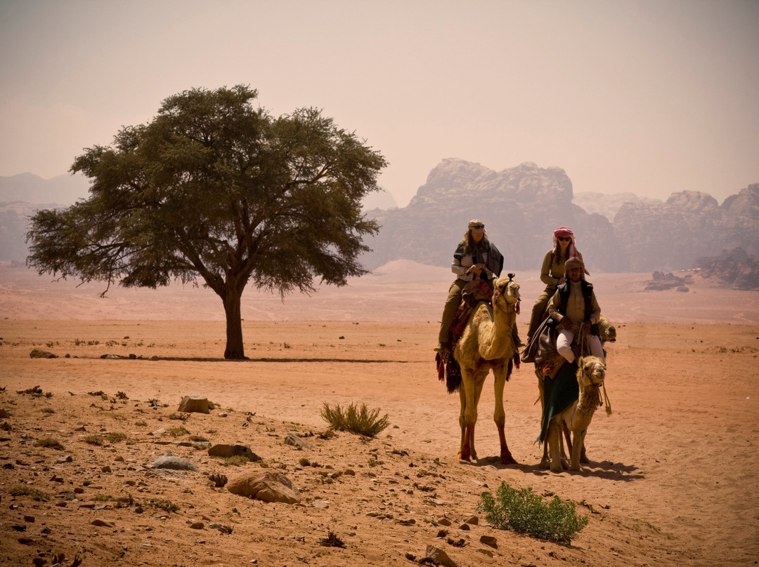 Wadi Rum Nature Tours