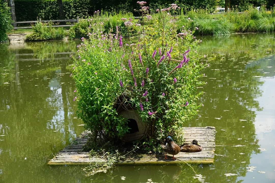 Klostergumpen-Embrach必去景点