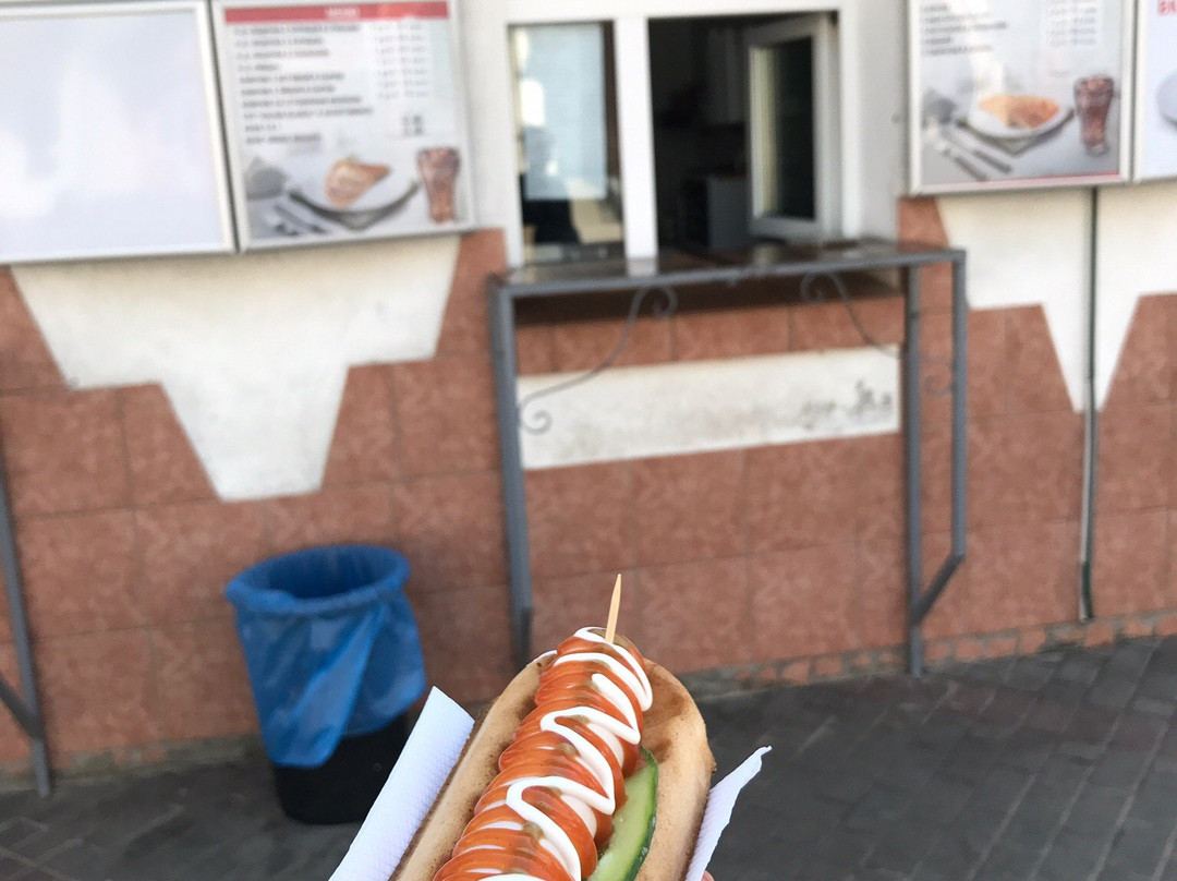 Baranovichi餐馆和美食-Lodochka