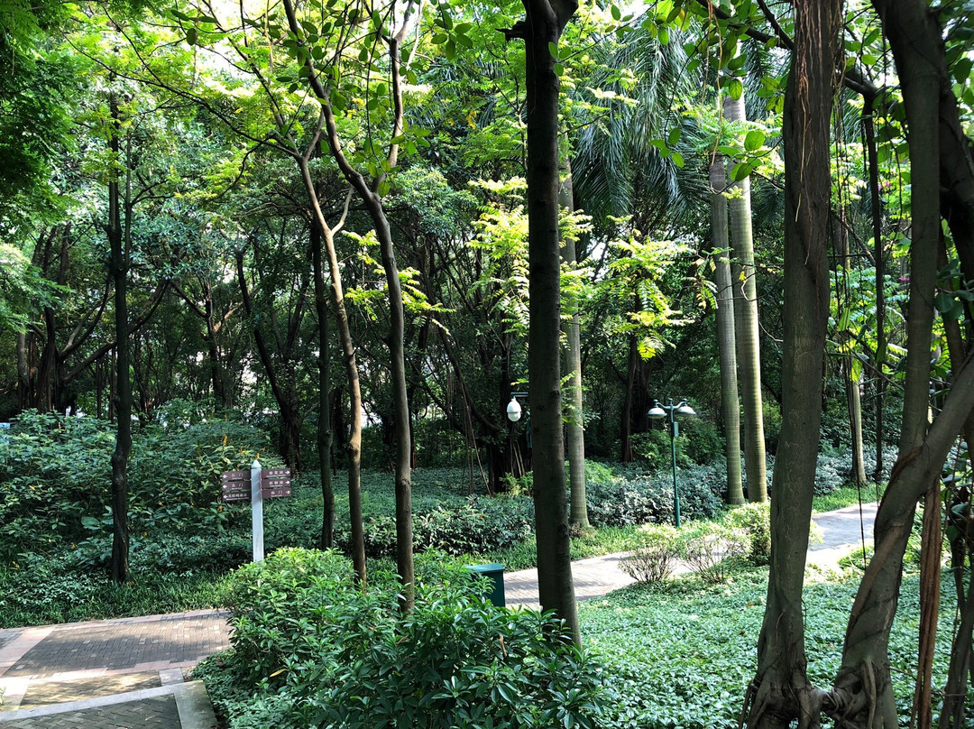 广州珠江公园景点图片