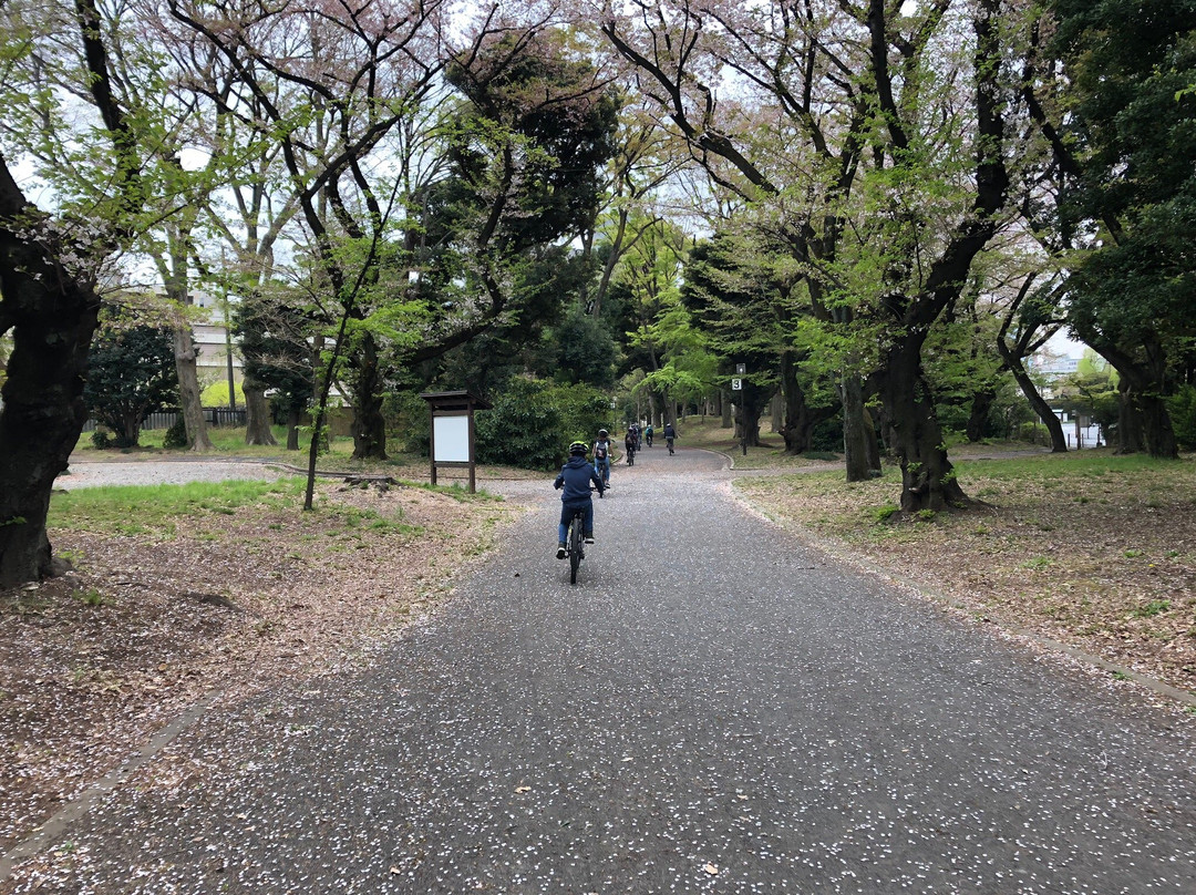 Tokyo Bike Tour - Day tour景点图片