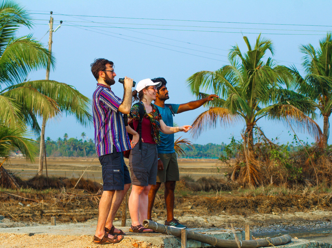 Godwit Adventures - Village Bike tour & Bidwatching-阿拉普扎必去景点