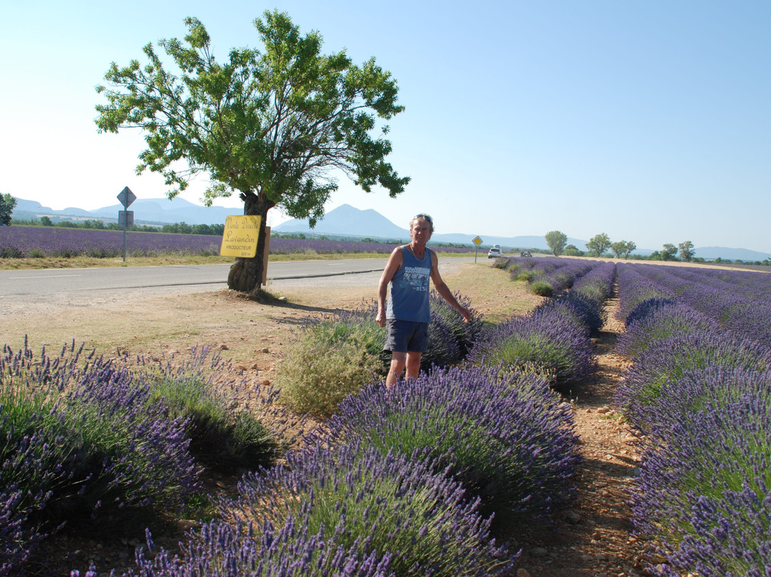 Best of Provence Tours景点图片