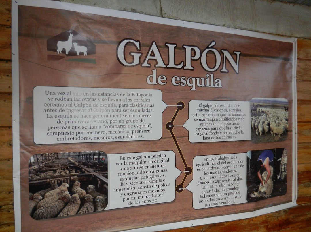 El Galpon景点图片