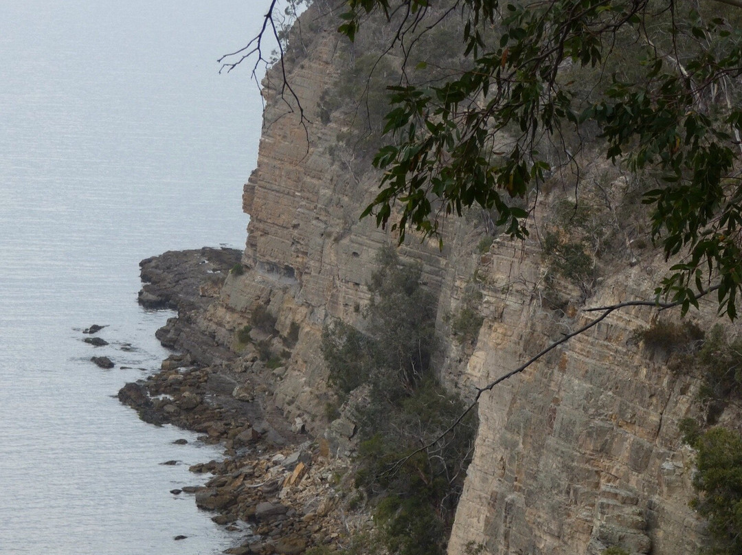 Alum Cliffs Track-Taroona必去景点