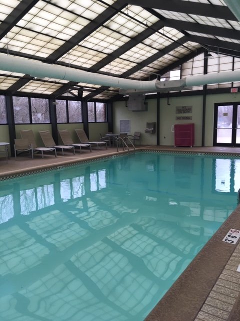 SpringHill Suites Chicago Elmhurst / Oakbrook Area-泳池