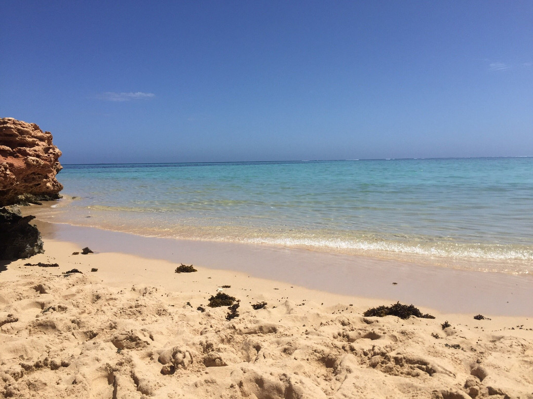 Osprey Bay-埃克斯茅斯必去景点