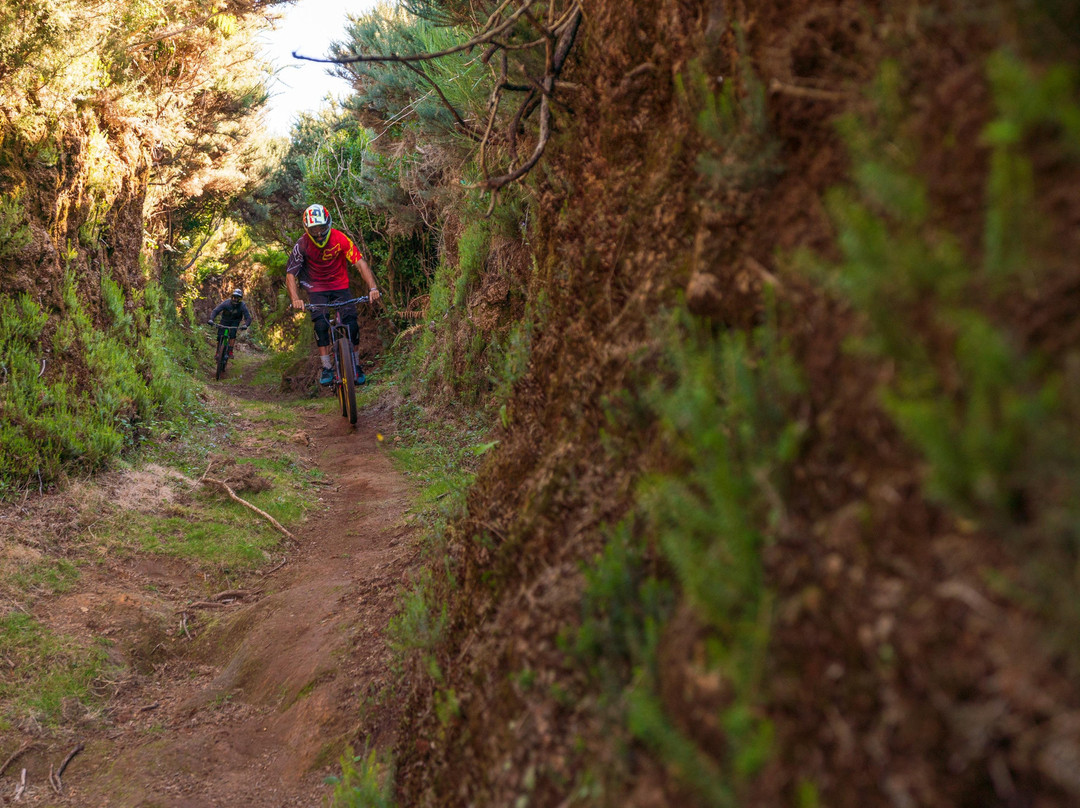 Rideandflow Mountain Biking Madeira Island-沙尔必去景点