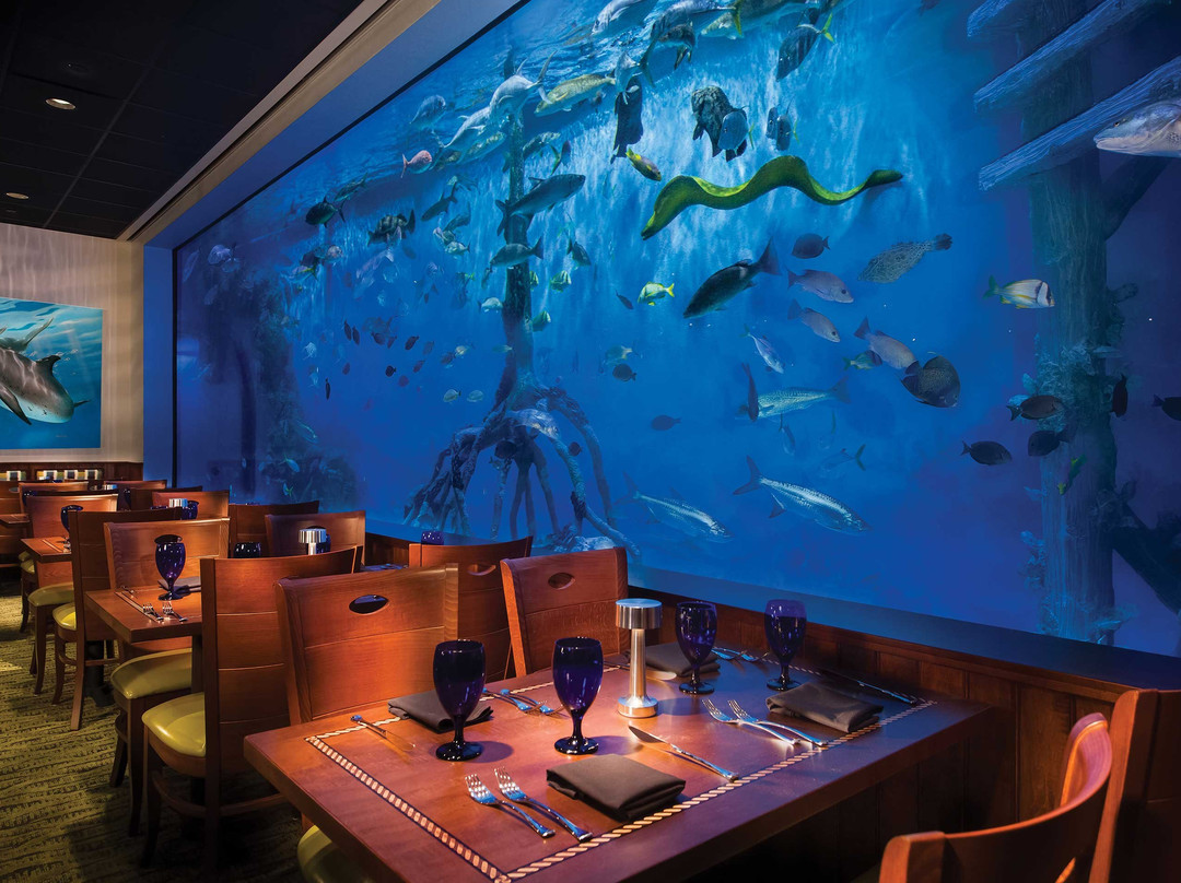 RumFish Grill and Sports Bar