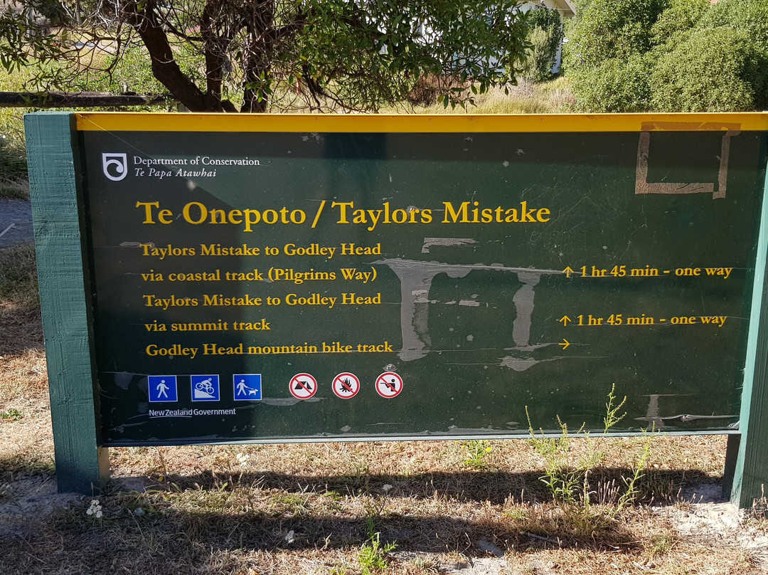 Taylors Mistake - Awaroa / Godley Head Walk景点图片