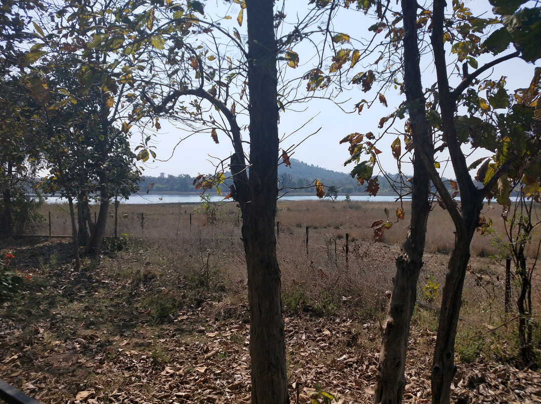 MTDC Holiday Resort Tadoba主图