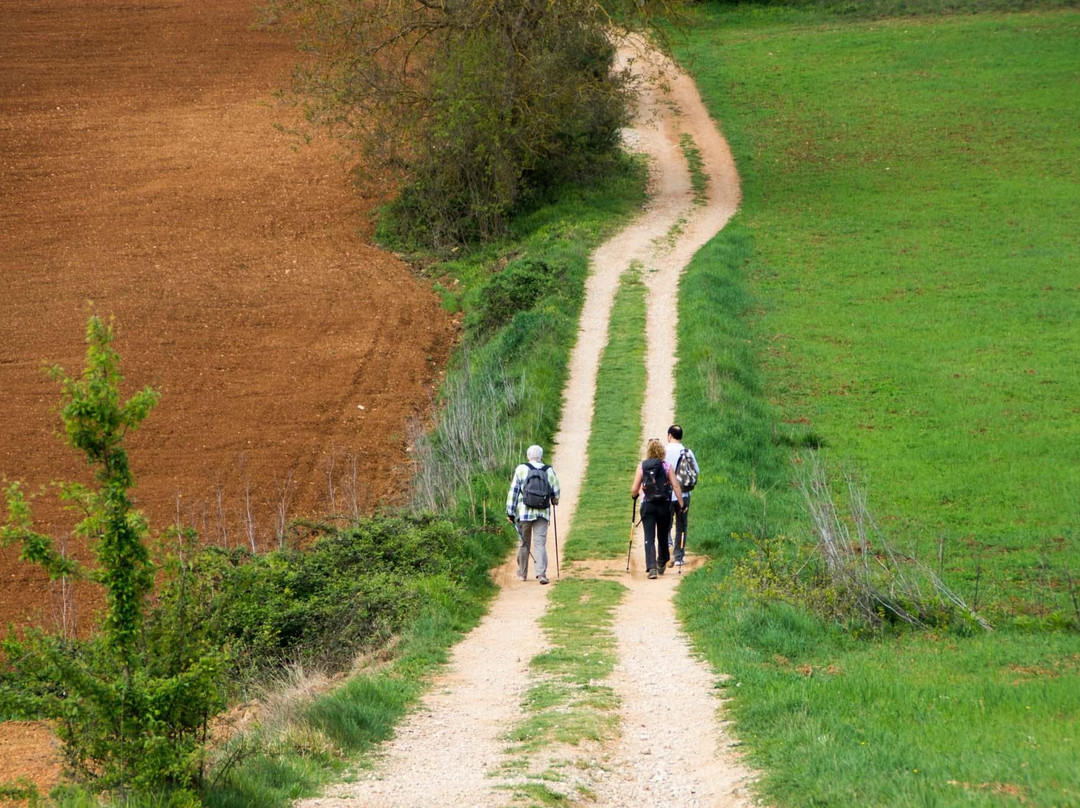 Florentine Hills-巴尼奥阿里波利必去景点