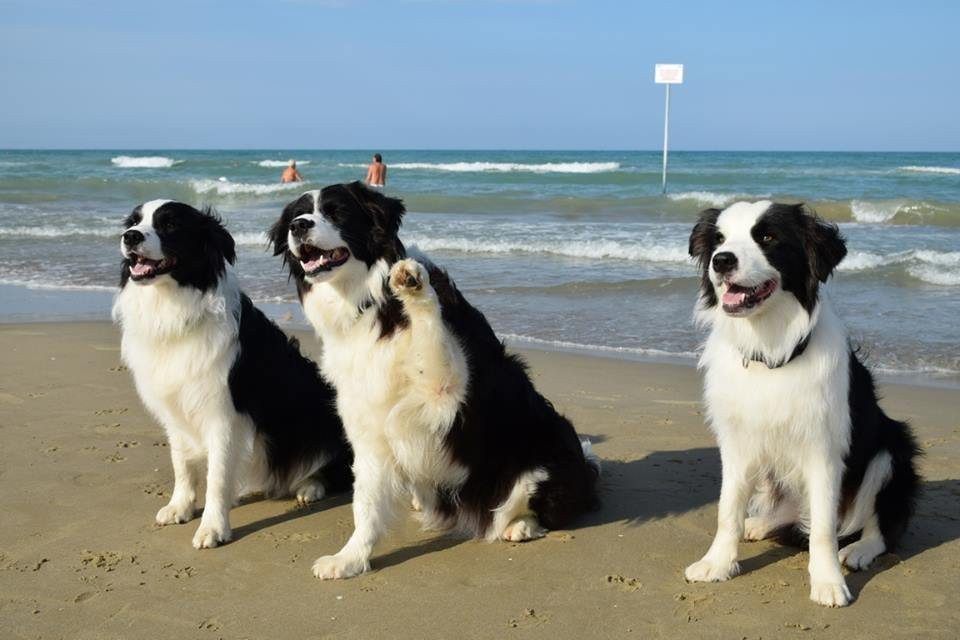 unica beach-朱利亚诺瓦必去景点