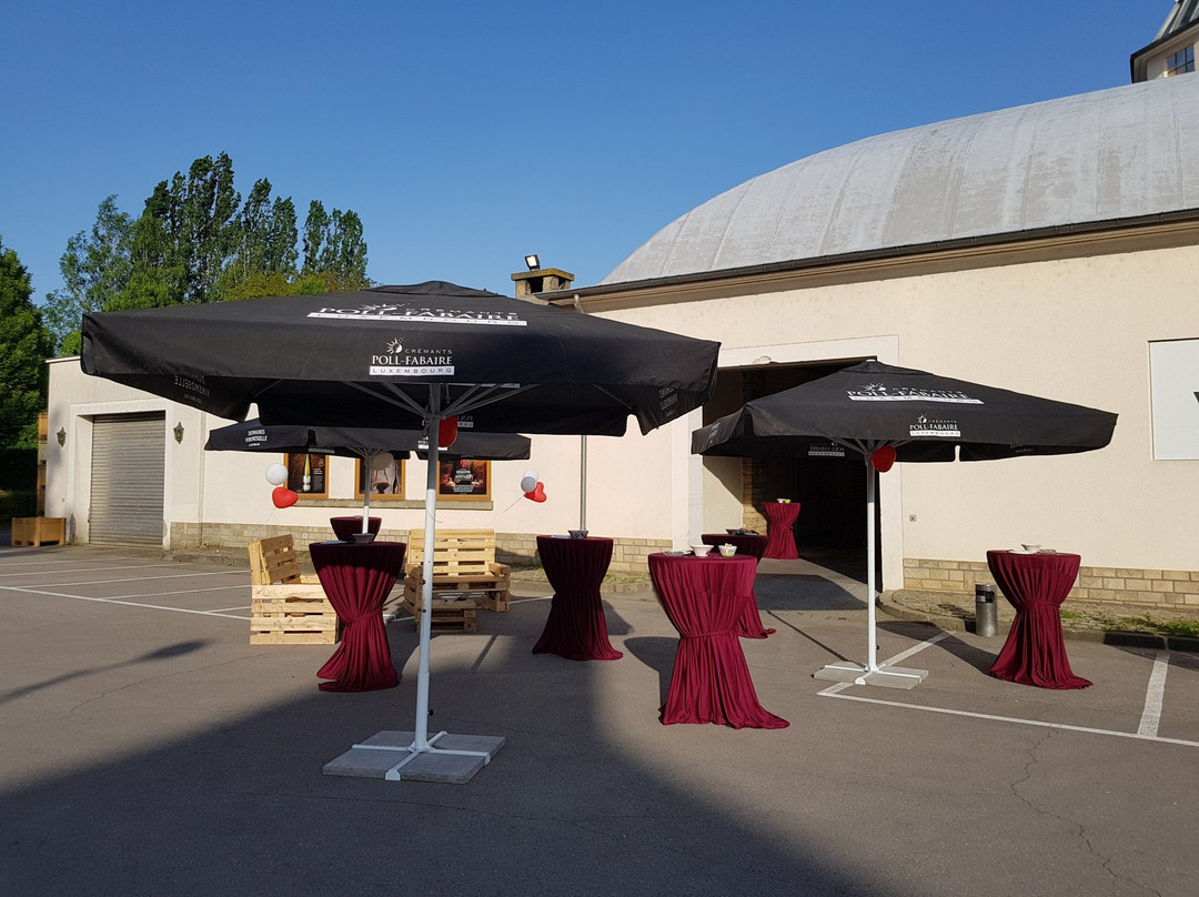 Domaines Vinsmoselle - Caves des Vignerons Grevenmacher-Grevenmacher必去景点