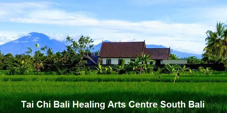 Tai Chi Bali Healing Arts Centre-Kediri必去景点