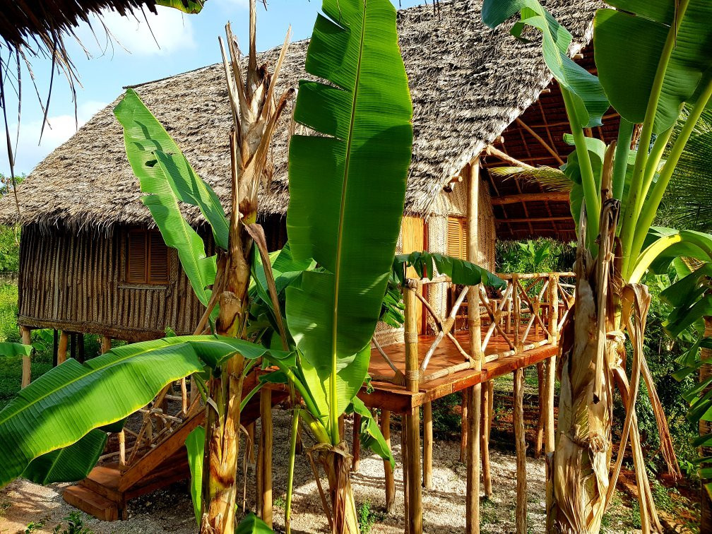 Coco Reef Lodge