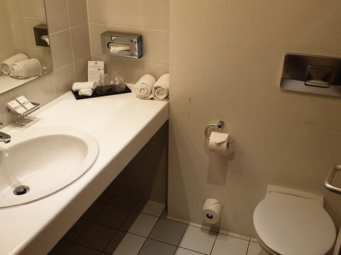 慕尼黑水晶酒店主图