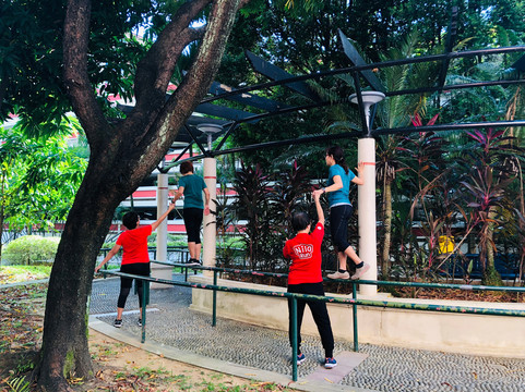 MOVE Academy Singapore-新加坡必去景点