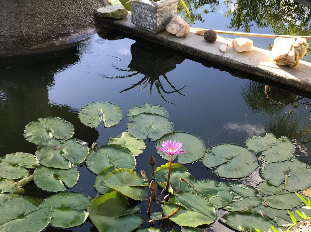 ROSA CORTIANA Escalera主图