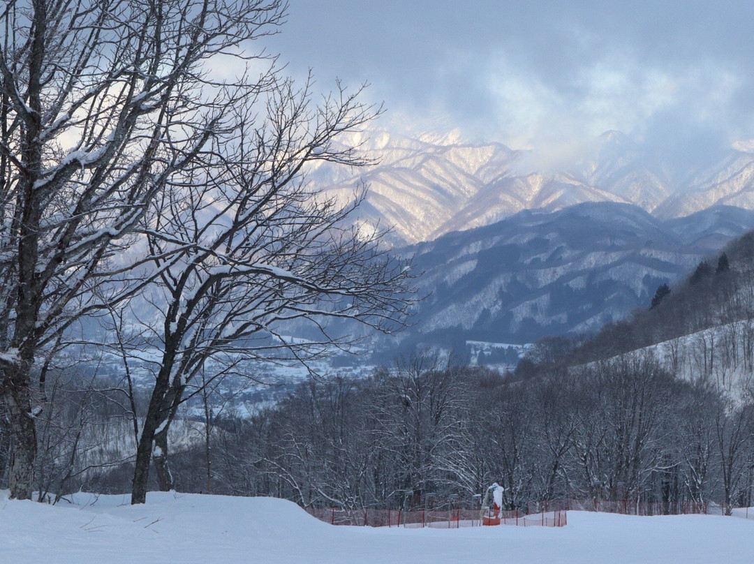 Hakuba 47 Winter Sports Park景点图片