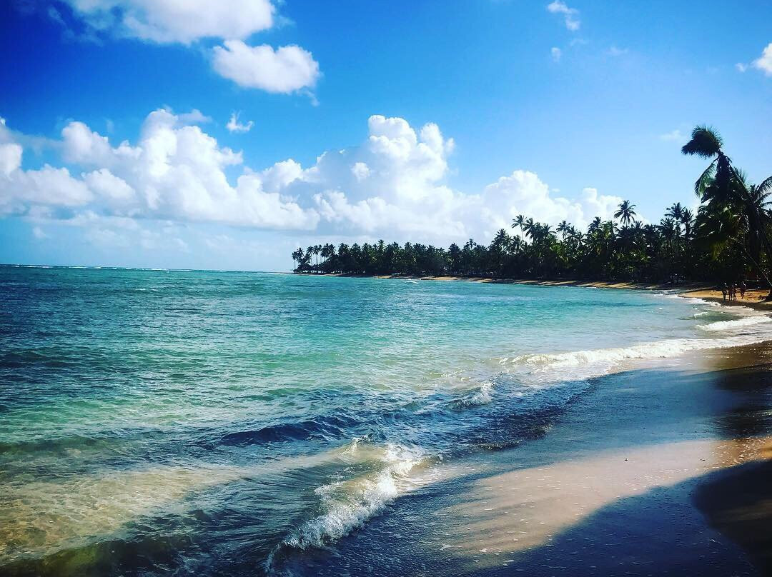 Playa Punta Popy景点图片