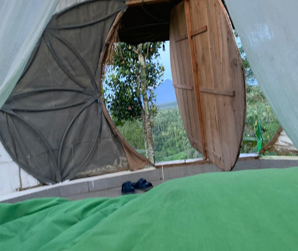 Seed Of Life Moodra主图