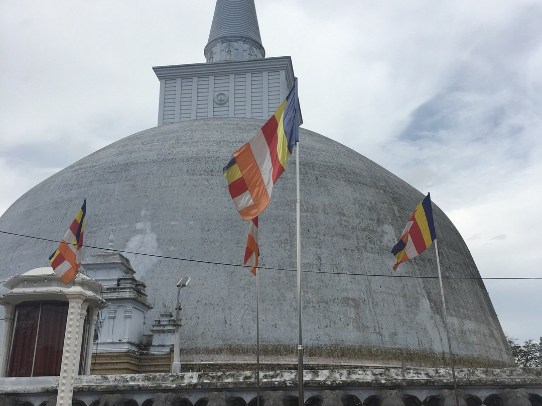 Sunshine Tourist Rest主图