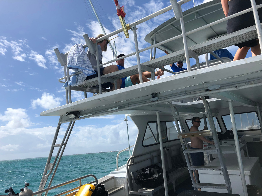 Stingray Adventures Ltd-西湾必去景点