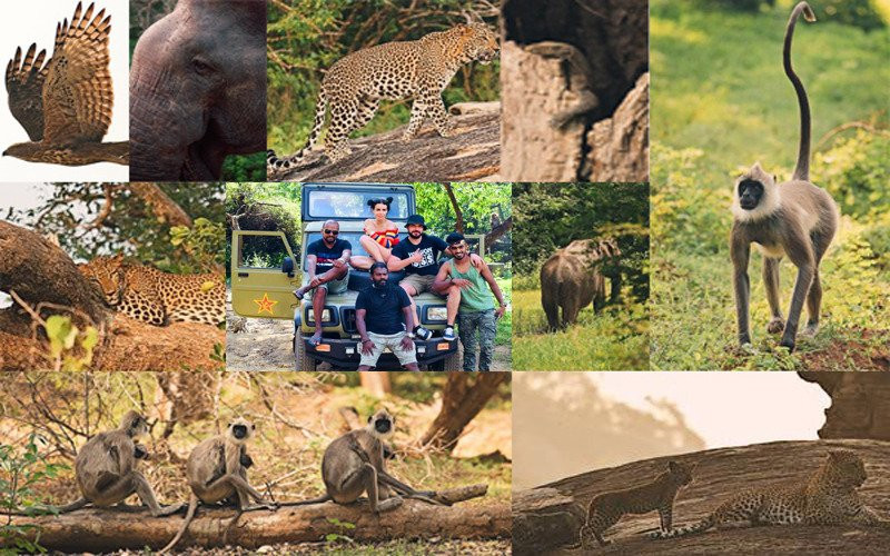 Spotting Trails-雅拉国家公园必去景点