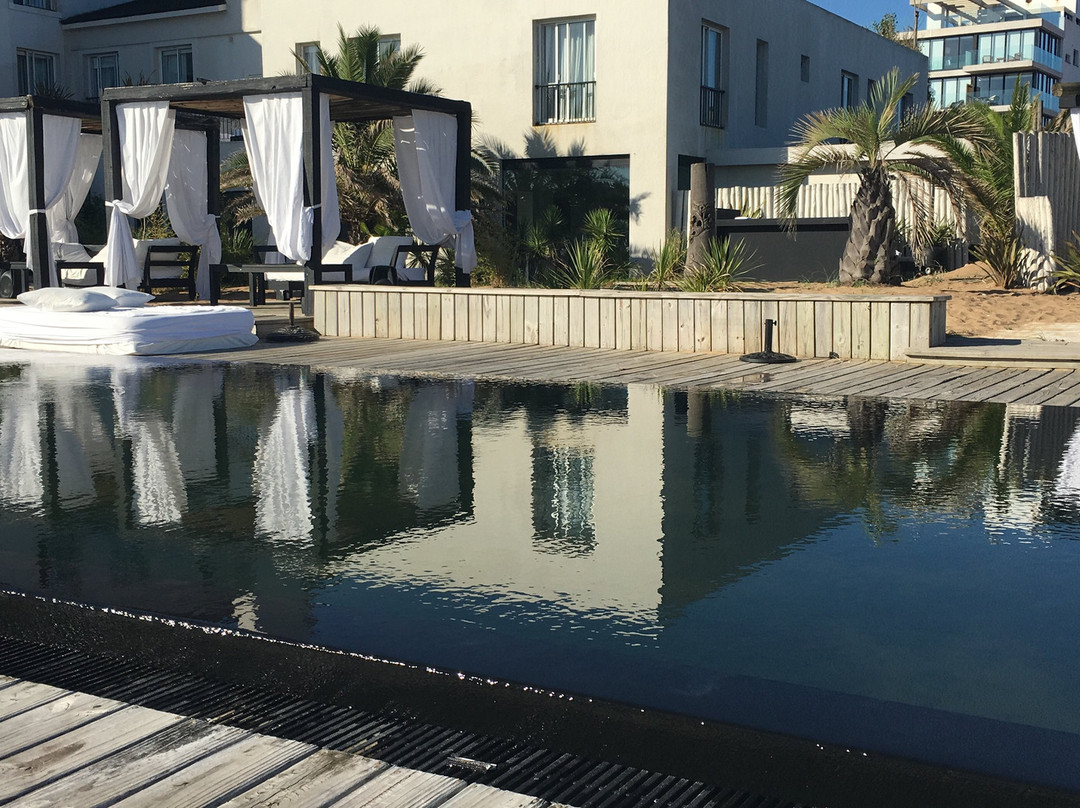 Serena Hotel Punta Del Este主图