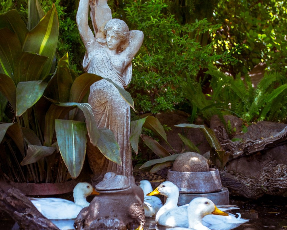 Oppie Koppie B&B主图