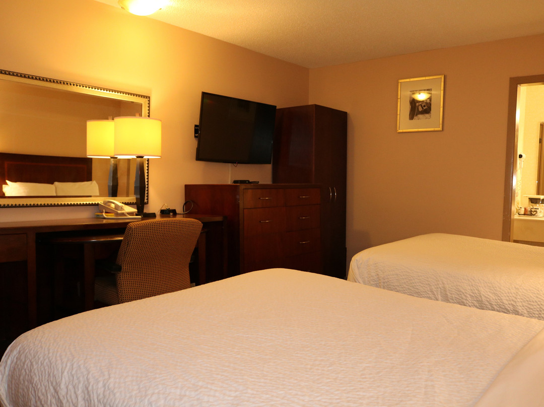 Days Inn by Wyndham Fredericton主图