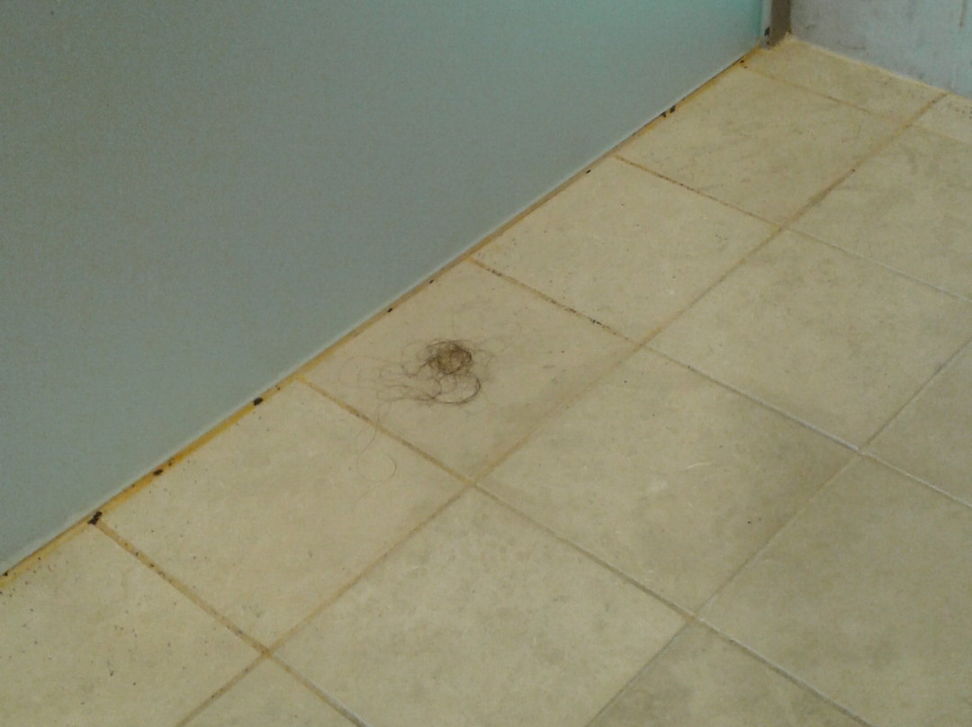 公园套房101家酒店主图