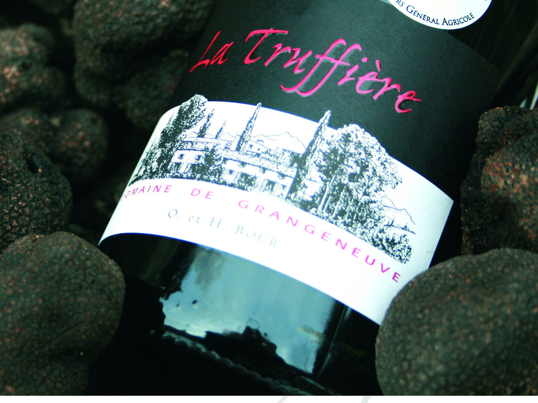 Domaine De Grangeneuve景点图片