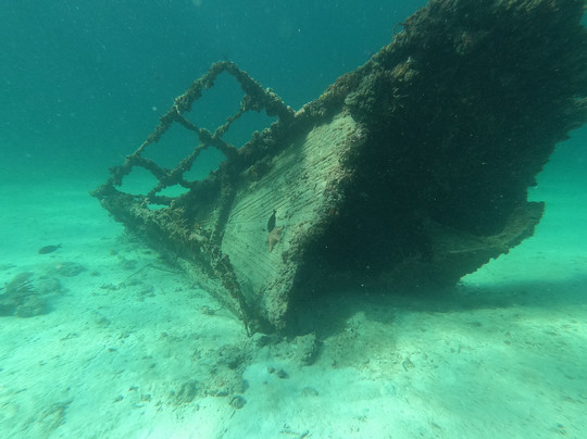 Turtle Dive Center-拉斯特拉纳斯必去景点