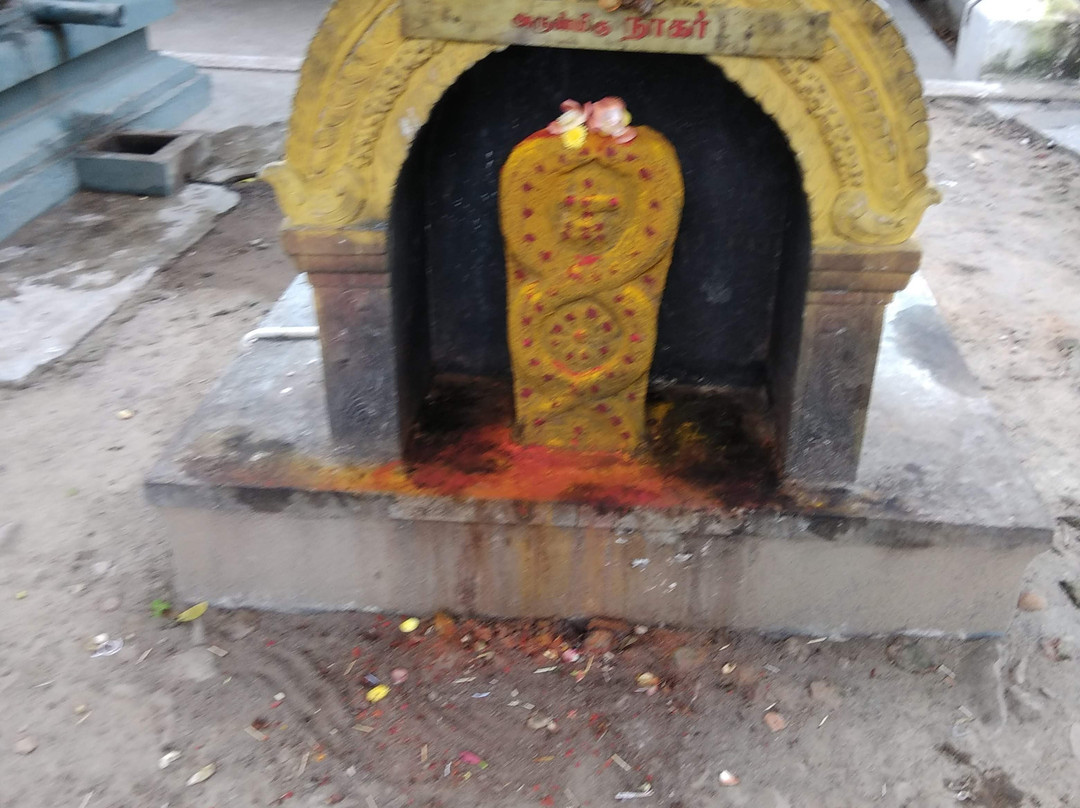 Suryan Pariahara Sthalam-Chennai District必去景点