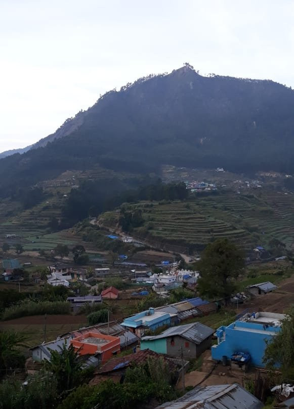 Pampadum Shola National Park-Vattavada必去景点