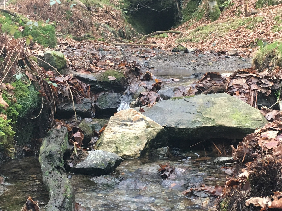 Drakes Trail-普利茅斯必去景点