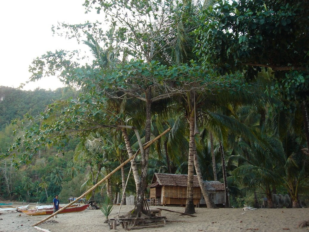 Campomanes Bay景点图片