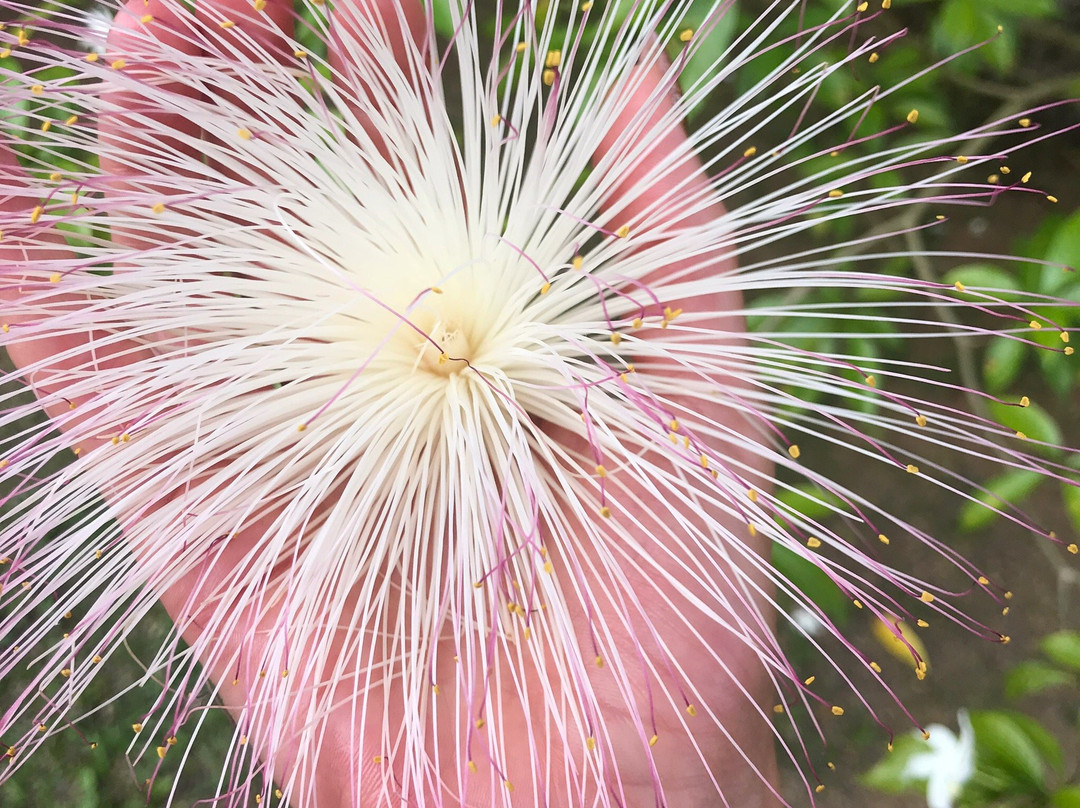 Tinara River Inn主图