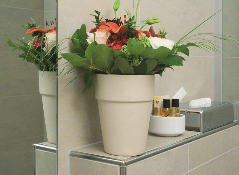 Ringhotel Zum Goldenen Ochsen主图