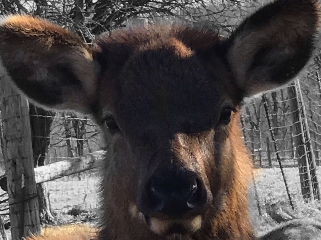 Fleming Park-Independence必去景点