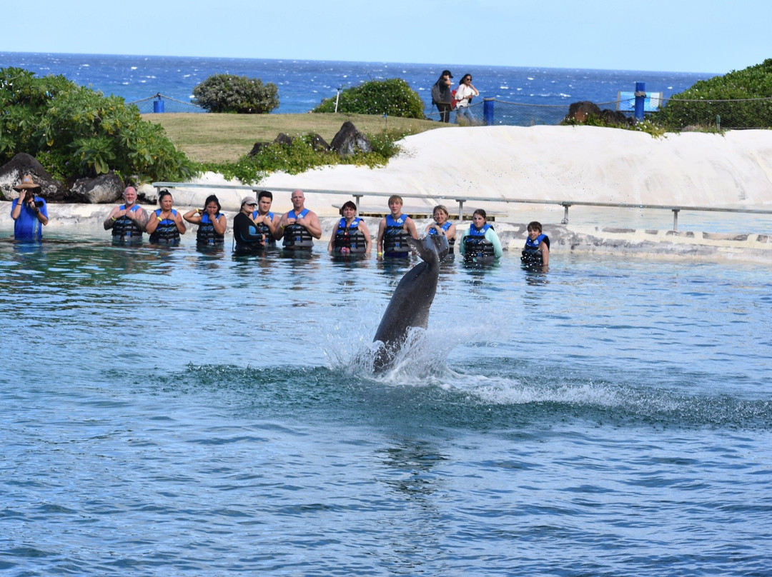 Sea Life Park Animal Encounters-威玛纳诺必去景点