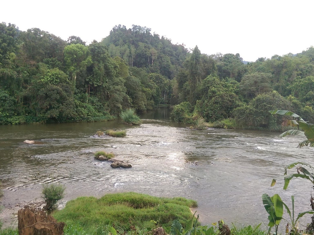 Kithulgala Rest House主图