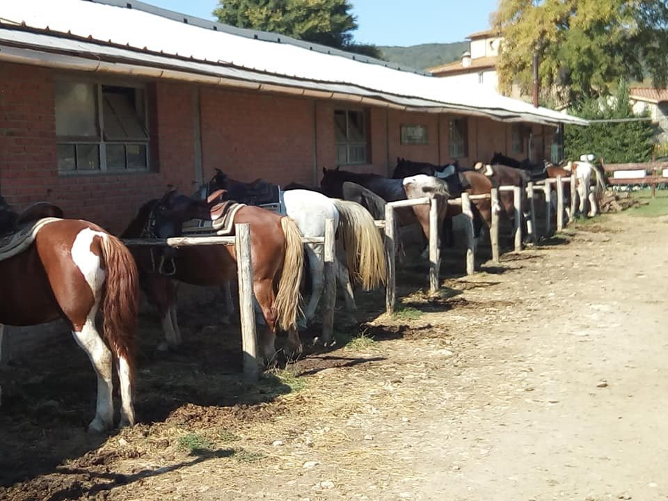 Crazy Horse Ranch ASD-阿尔诺河畔里尼亚诺必去景点
