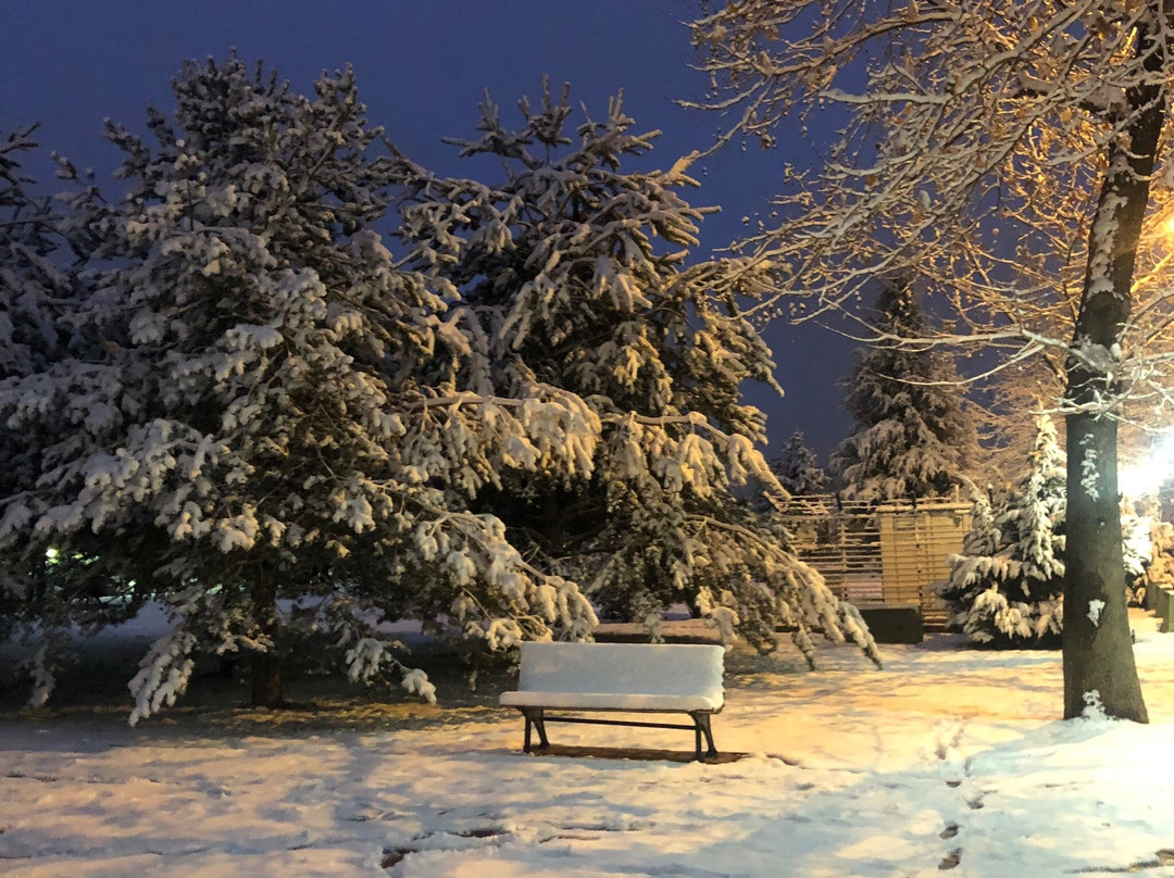 Fier Life Center主图